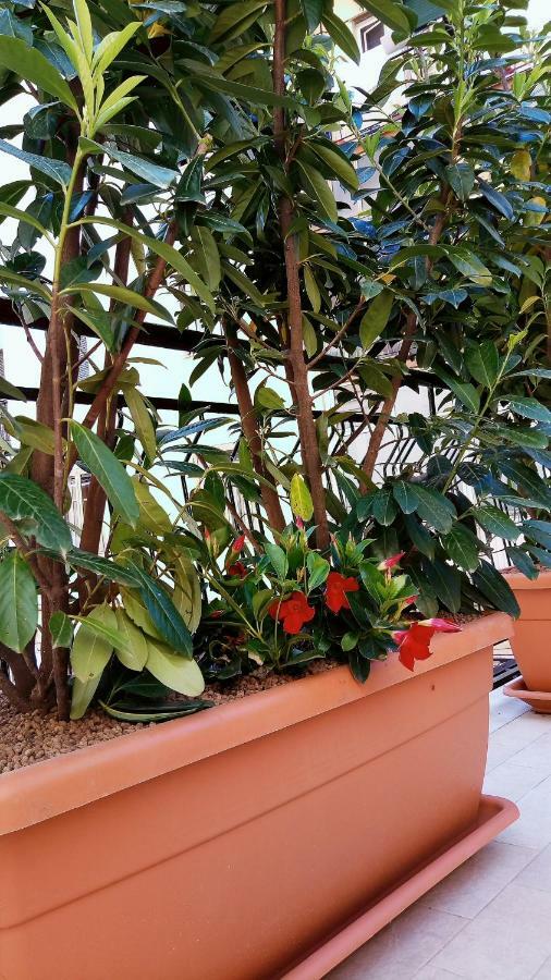 ساليرنو B&B Malaga المظهر الخارجي الصورة